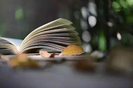 眉山各大圖書館正有序恢復(fù)開放，借閱書籍還能領(lǐng)福利!